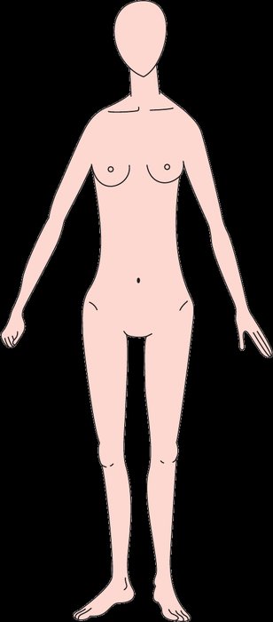 外胚葉形の体型イラスト — 全体に華奢な体型