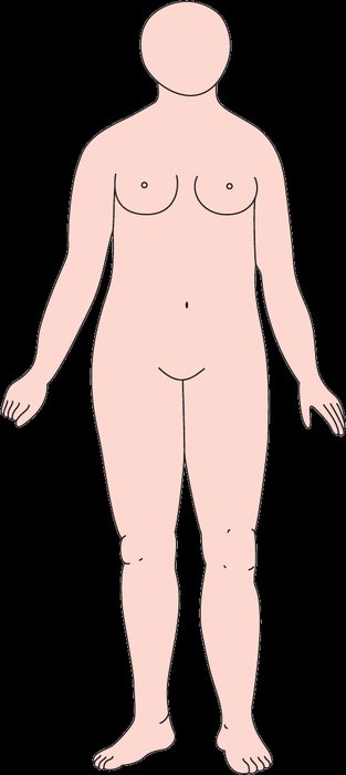 内胚葉形の体型イラスト — 全体にぽっちゃりしやすい体型
